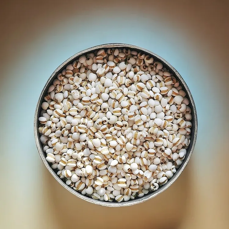 新货小生正宗贵州小新货薏米正宗100%纯薏米