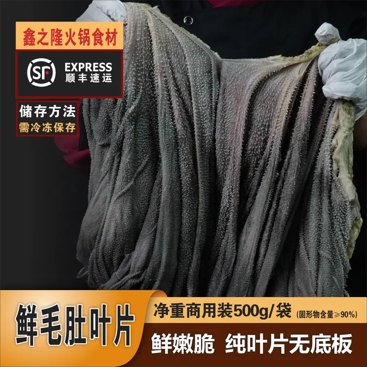 2-3斤屠宰场鲜毛肚  新鲜毛肚纯叶片火锅食材 固形物含量90%以上