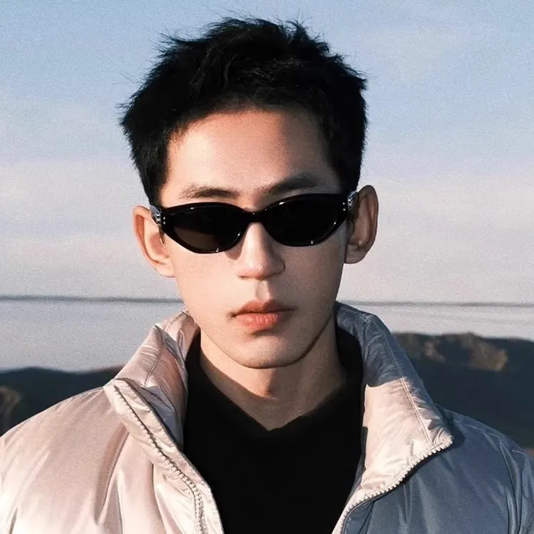 墨镜男士痞帅个性小框猫眼美式复古偏光防紫外线近视太阳眼镜女