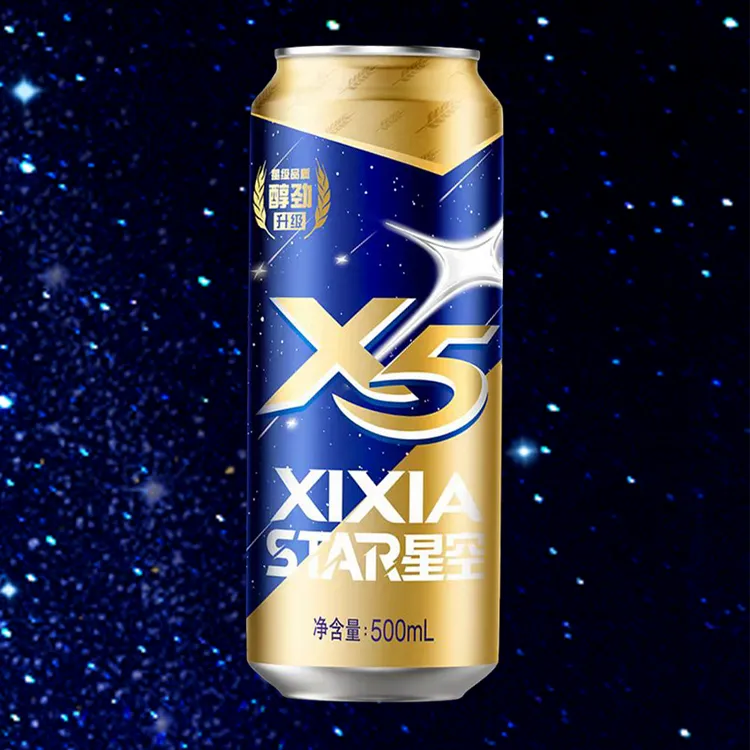 西夏X5啤酒星空国产经典黄啤500ml*12听星空版（活动线下兑换）