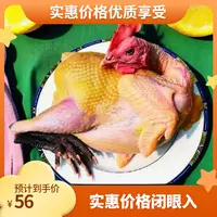 【中陕核传媒自营】优质走地鸡林下鸡散养净鸡高品质现宰公鸡红烧
