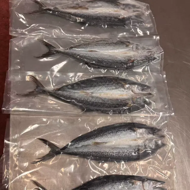 【顺丰包邮】渤海湾一卤鲜儿鲅鱼干生鱼【升级版】