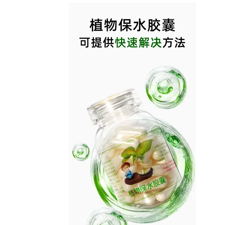 出差党必备神器告别频繁浇花懒人养花神助攻盆栽绿植多肉
