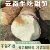 【小农人花背箩】云南 甜龙笋 2斤（约1-2个）/4斤（约2-3个） 顺丰冷链