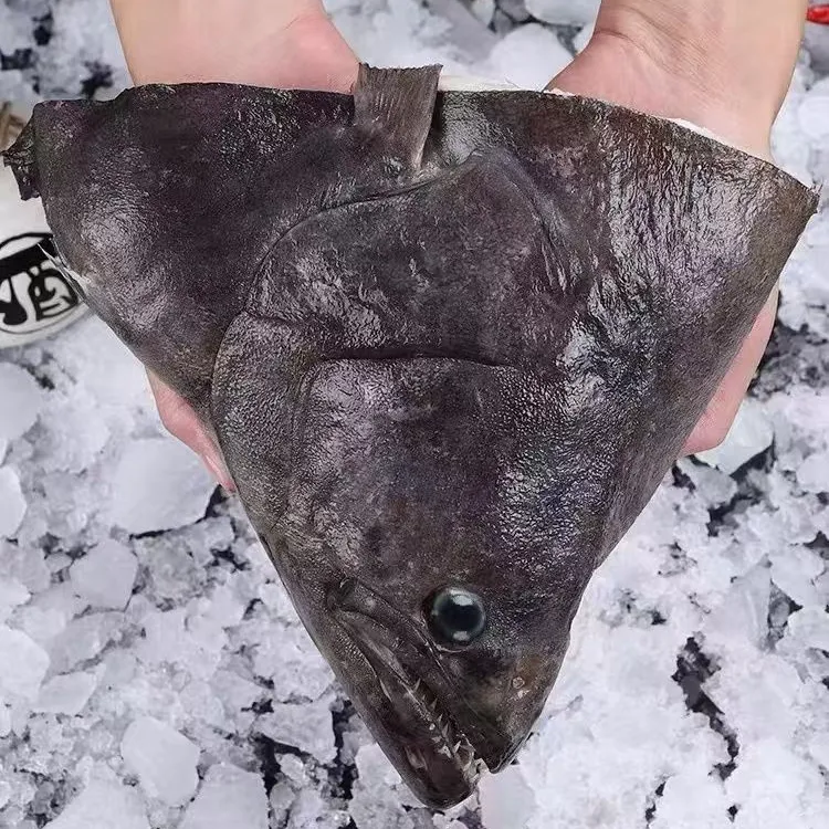 A连云港发货 深海碟鱼头新鲜冷冻超大比目鱼头（1斤-1.5斤规格）