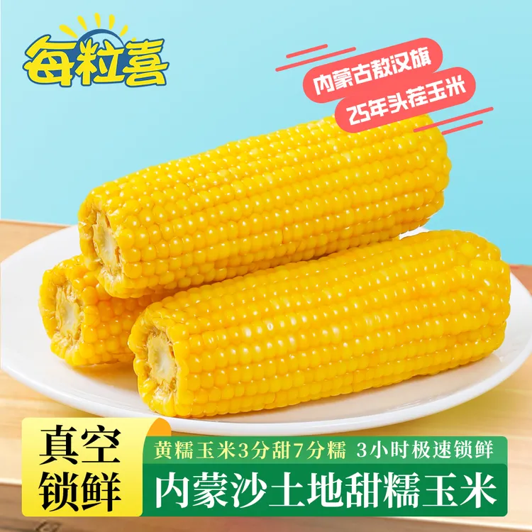 每粒喜内蒙古敖汉沙土地甜糯黄玉米25年糯玉米甜玉米粗粮轻食