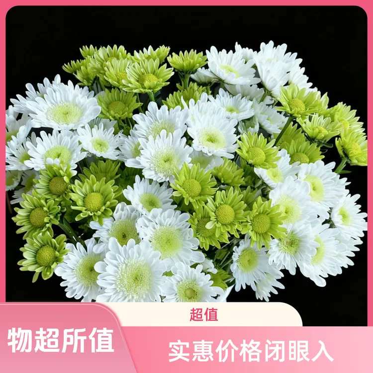 （混色小雏菊）10支装颜色随机搭配鲜花