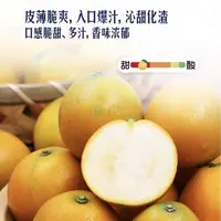 巨无霸脆蜜金柑0.7斤/份（8粒装）入口爆汁 沁甜化渣 巨大个头 云南省