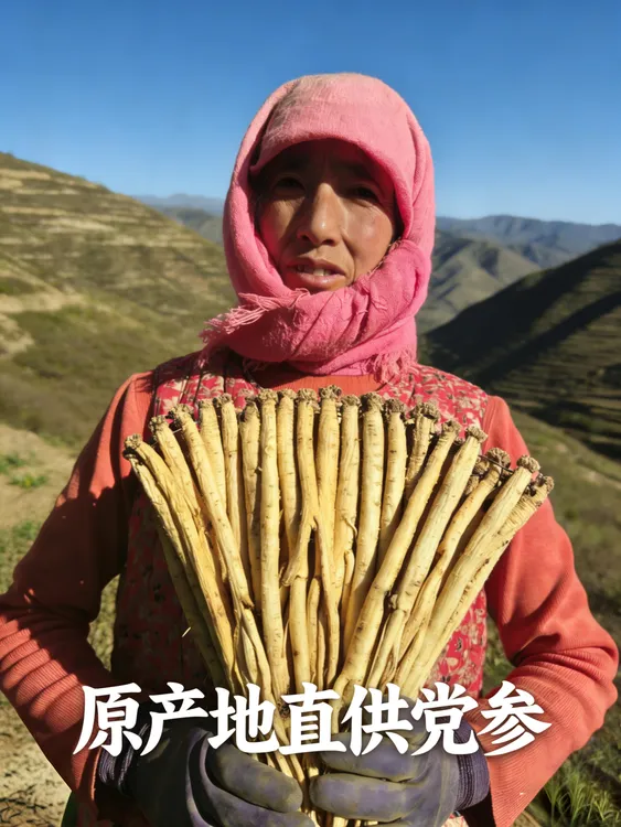 甘肃岷县党参整条无硫500克装