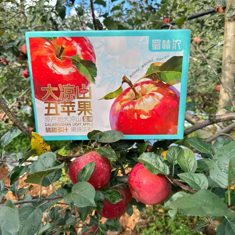 大凉山冰糖心丑苹果 高山糖心苹果新鲜采摘