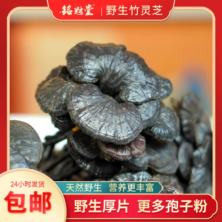 广西 野生 竹 L Z