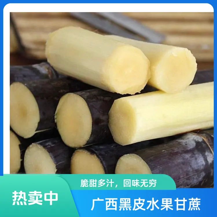 【正宗】广西黑皮水果甘蔗精选中段脆甜多汁新鲜应季水果货源直发