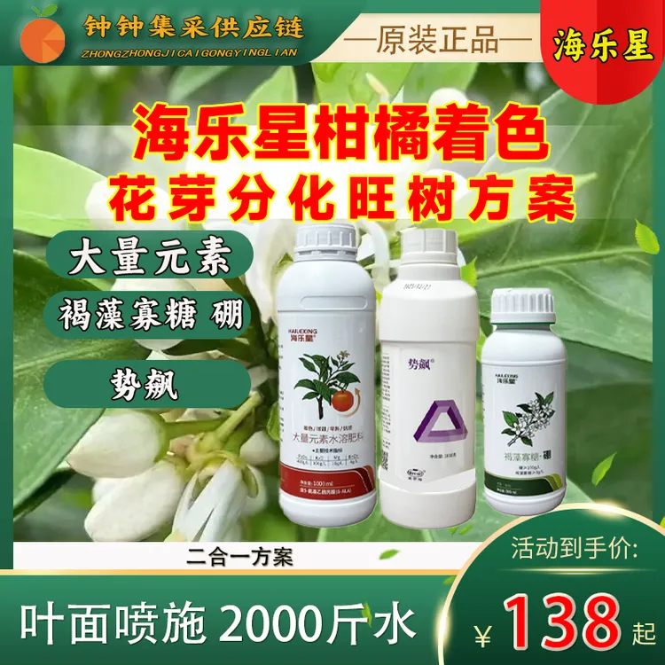 柑橘中庸旺树花芽分化着色方案