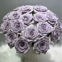 【云舍花卉】【惊艳蓝】单头玫瑰全场任意满两单及以上鲜花包邮发货