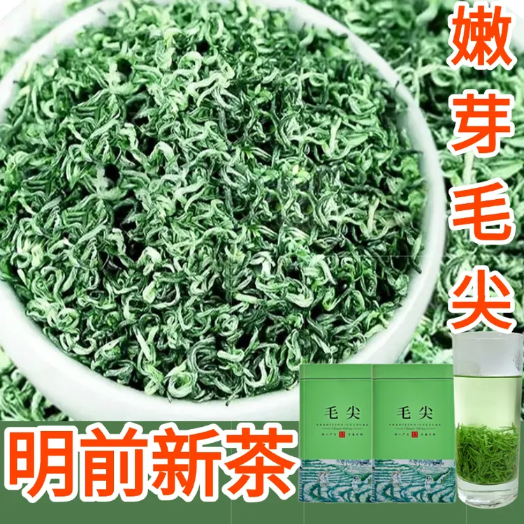 特级绿茶毛尖2025新茶叶明前特级贵州高山云雾春茶嫩芽浓香型散装
