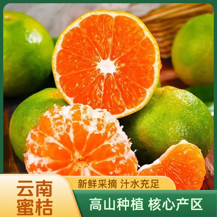 【云南文山无籽蜜桔】皮薄多汁酸甜可口青皮桔子时令新鲜水果xnm