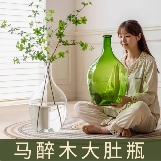 现代简约大肚玻璃花瓶客厅吊钟马醉木鲜花干花绿植专用装饰插花器