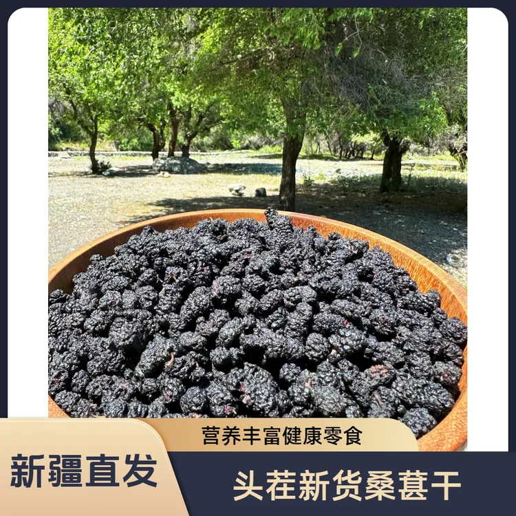 新货新疆吐鲁番黑桑葚干免洗无沙干净包邮