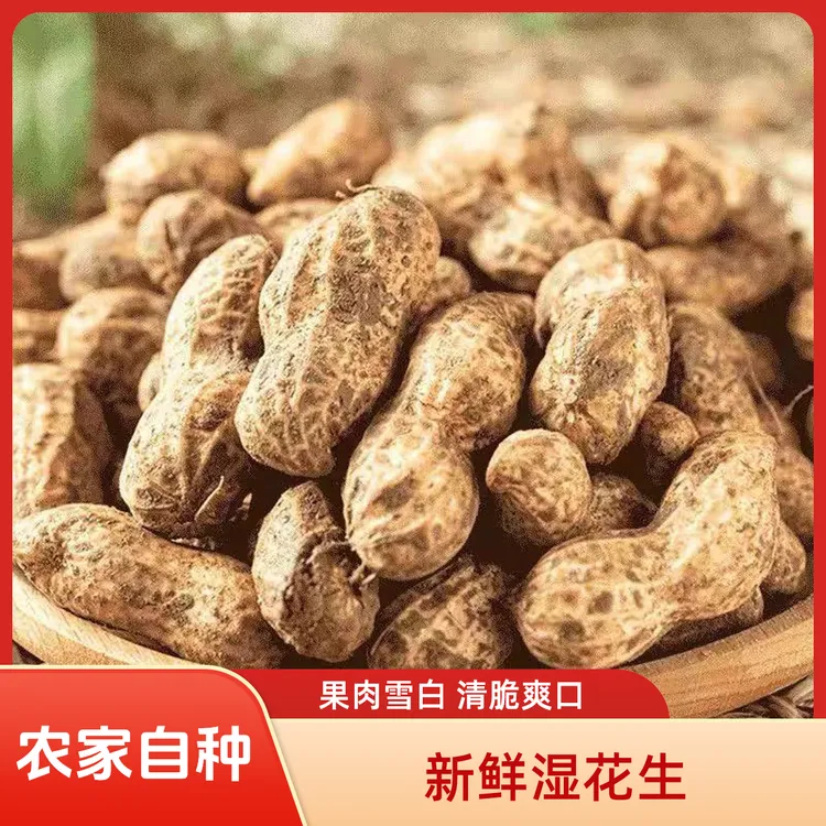 新鲜湿花生带壳花生现挖现发花生农家自种5斤装