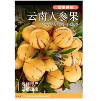 云南石林人参果树上熟正宗圆果石林高山产区纯糯多汁低糖