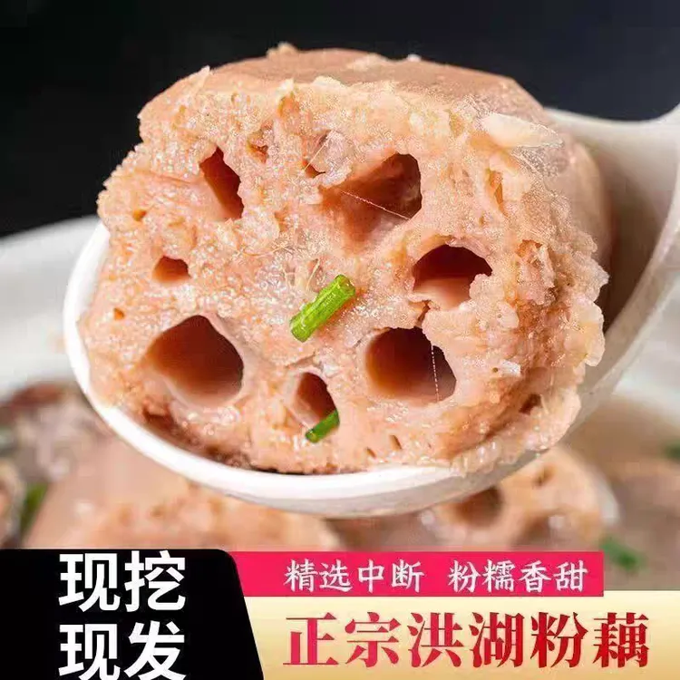 湖北洪湖新鲜现挖九孔圆圆粉藕青瓷煲汤粉糯拉丝自然上绣自己