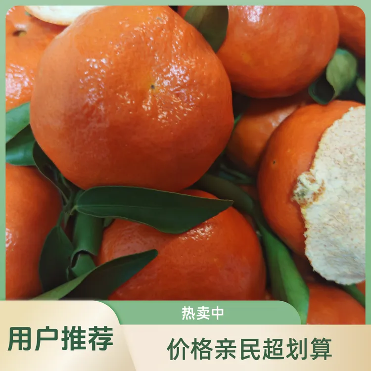 四川红橘古红桔子万州大红袍酸甜柑子孕妇水果新鲜陈皮原料