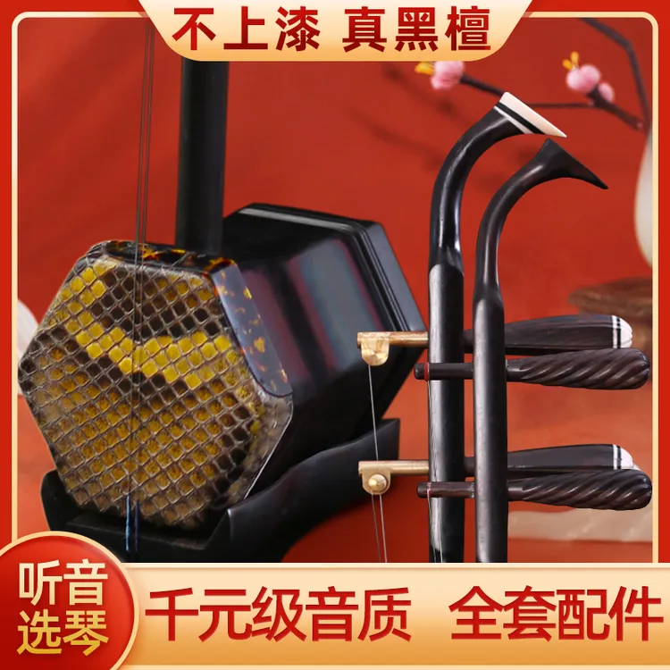 苏州黑檀二胡乐器厂家直销正品入门专业演奏考级铜轴大音量二胡琴