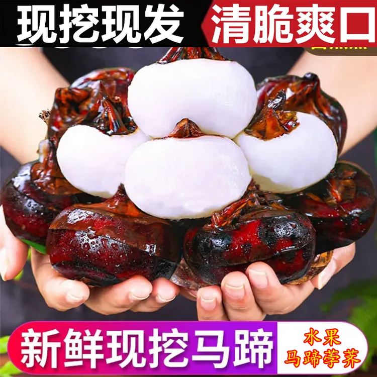 广西四塘桂林新鲜牛奶马蹄荸荠当季正宗地梨蔬菜2025新鲜水果