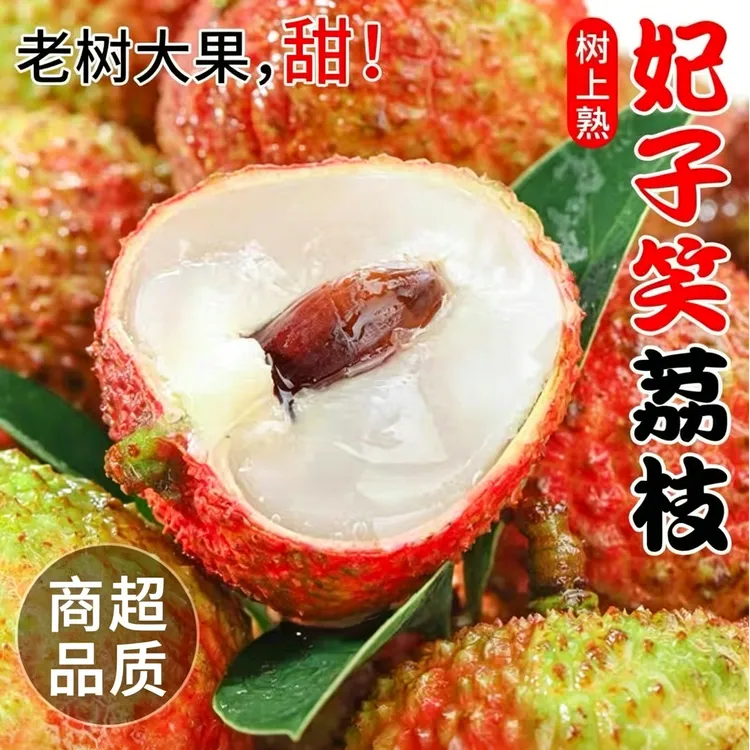 【顺丰送上】海南妃子笑荔枝现采现发头茬现采现发当季新鲜水果商品图