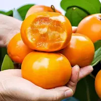 新鲜脆甜柿子应季自然成熟无核脆爽多汁脆柿（多仓发货）