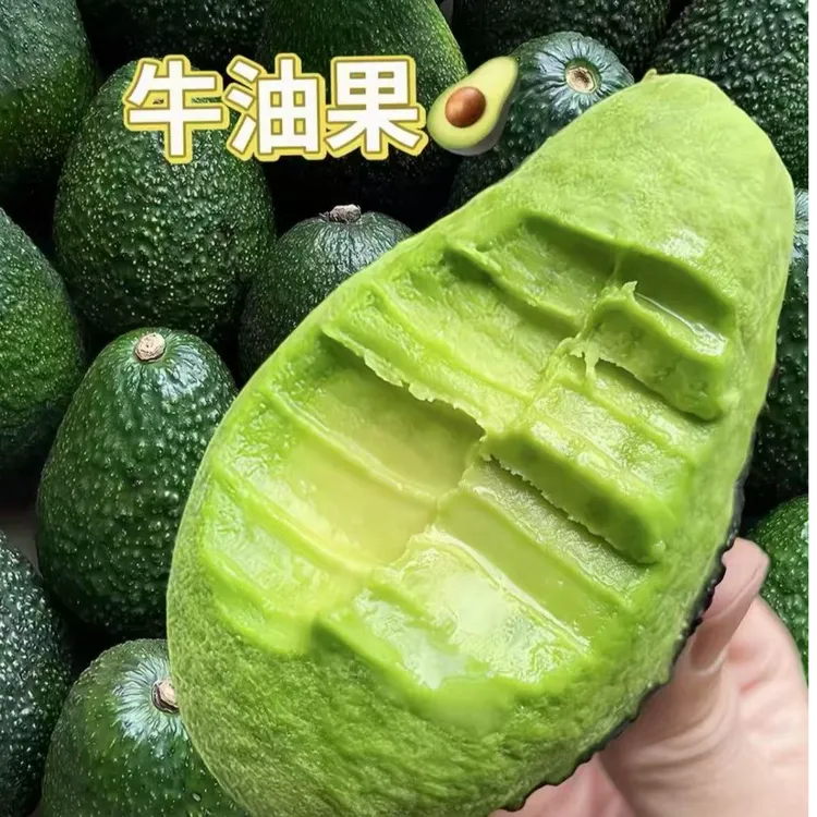 哈斯牛油果秘鲁进口新鲜果170g当季新鲜孕妇宝妈宝宝辅食新鲜大果