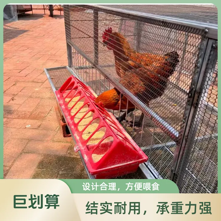 鸡笼鸭笼兔笼户外养殖笼防黄鼠狼防老鼠探头吃食