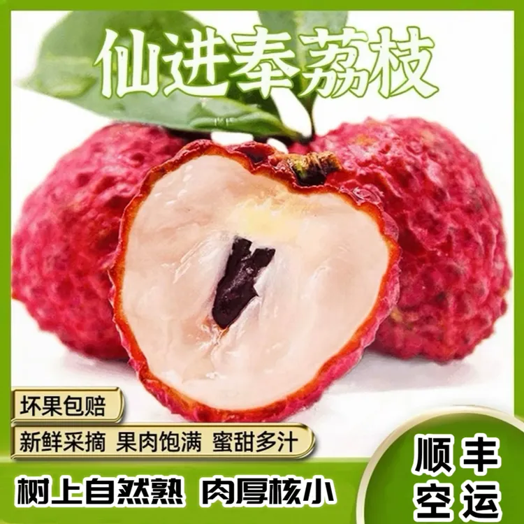 爱尚乐果源【顺丰空运】仙进奉荔枝核小肉厚爽口多汁新鲜现采应季