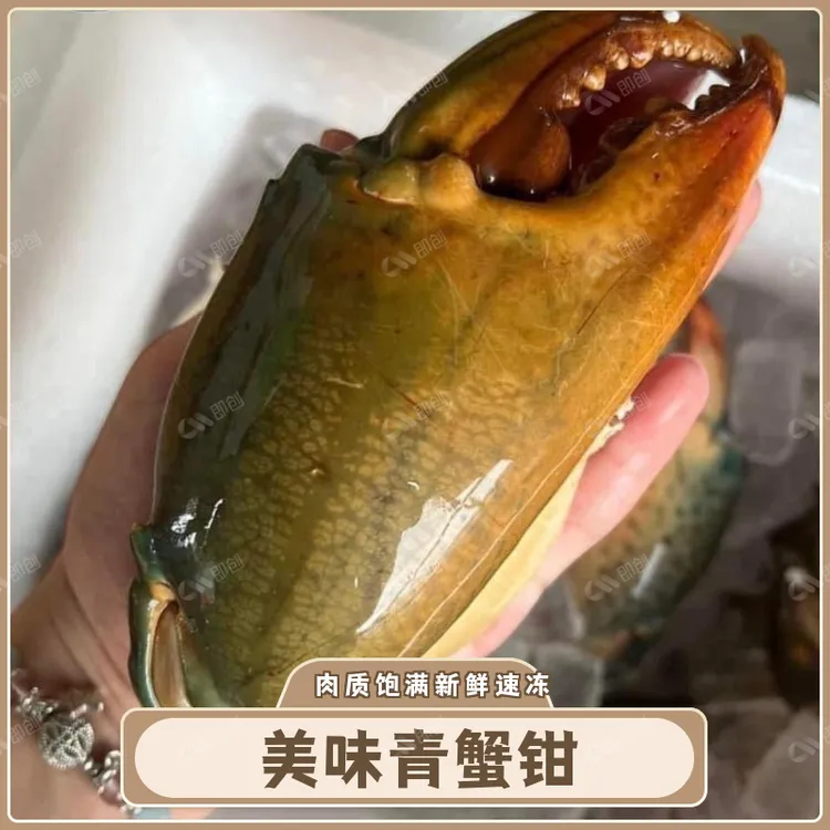 新鲜青蟹腿特大蟹钳鳌大肉多海鲜水产活蟹冷冻青蟹脚钳野生现掰
