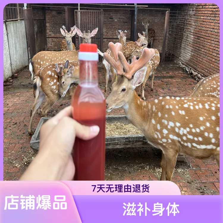 东北鹿乡头茬新鲜带血可用于泡酒煲汤炖菜滋补佳品