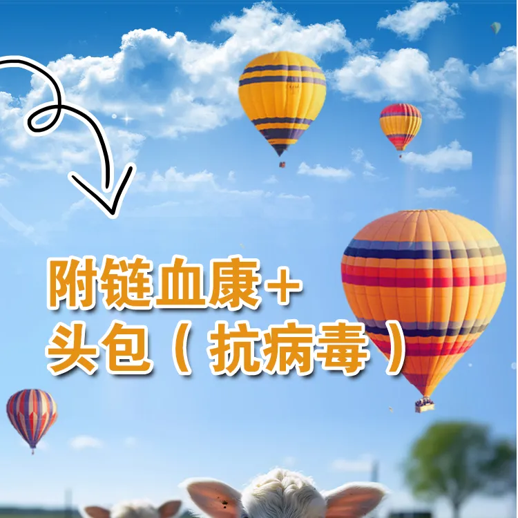 附链血康+抗病毒头包