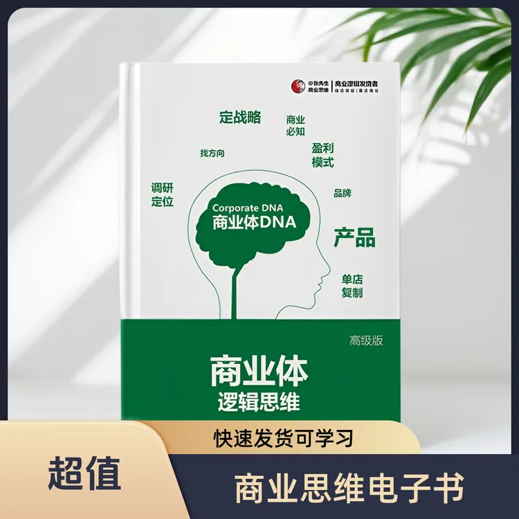 商业体逻辑思维PDF电子版