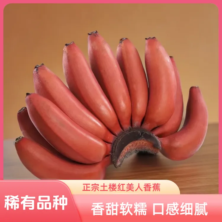 正宗福建土楼红皮黄皮香蕉红美人蕉新鲜水果稀有红美人黄皮香蕉