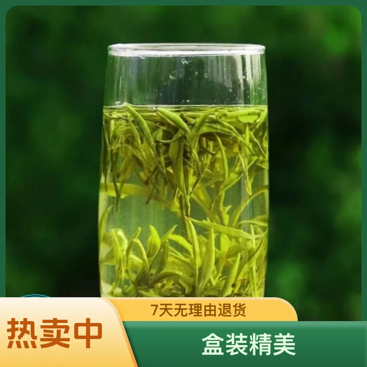 甩卖：谷雨后期蒌头（初展芽叶）醇厚芽形（适合喝浓茶的绿茶茶友