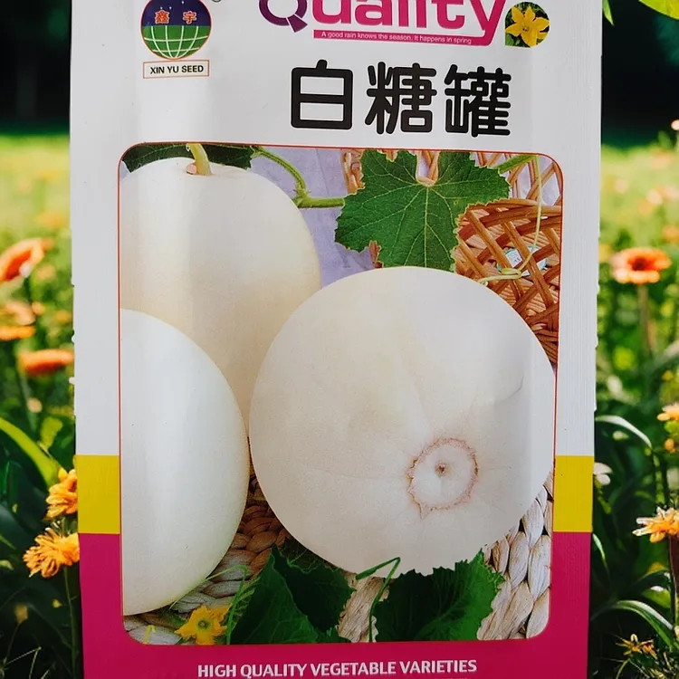 白糖罐甜瓜新种子