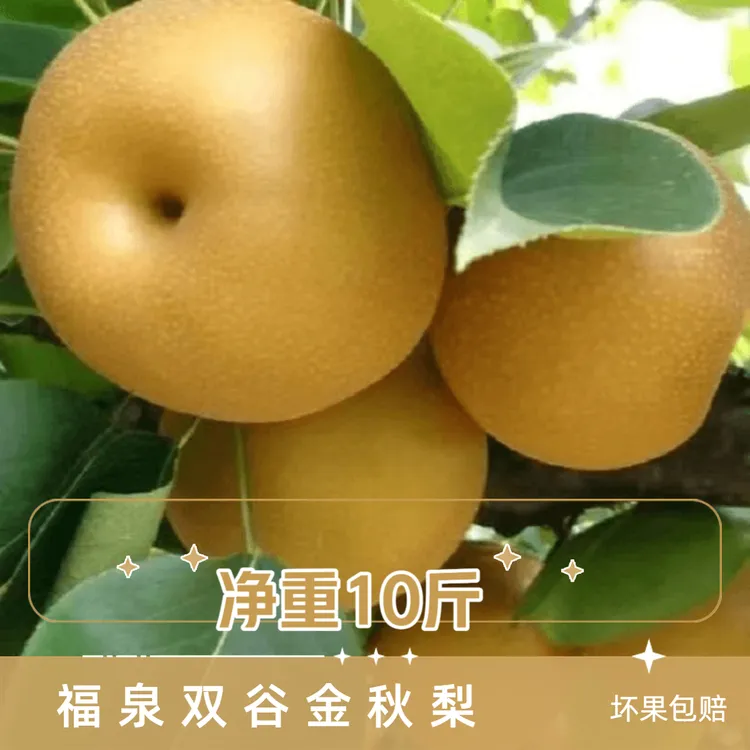 【到手10斤】贵州福泉梨脆甜多汁应季水果金秋梨坏果包赔把福带回家