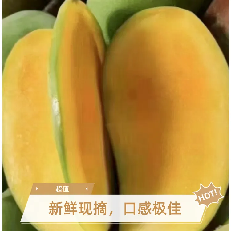应季水果西双版纳金煌芒果肉饱满多汁甜而不腻