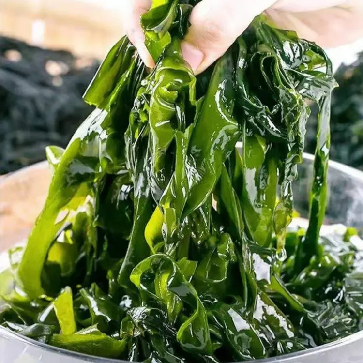 少盐裙带菜 大连新鲜头茬裙带菜 带箱5斤 精选盐渍海带菜