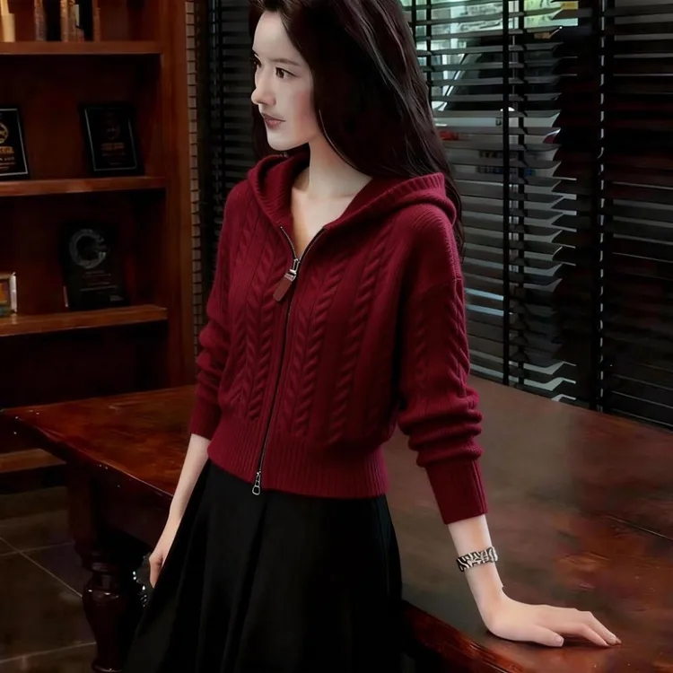 慵懒风韩版针织连帽衫女秋冬新款麻花纹气质时尚显瘦软糯毛衣上衣