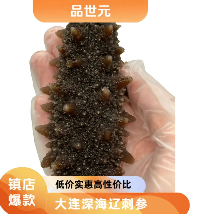 品世元大连正宗新鲜即食海参辽参到手1斤
