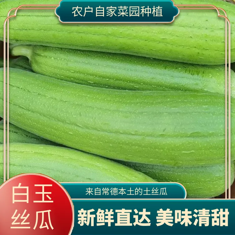 常德港中坪本地白玉肉丝瓜白丝瓜