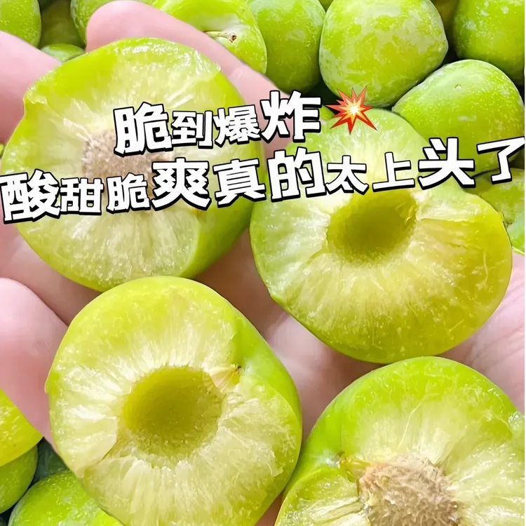 顺丰包邮贵州正宗高山脱骨李果园直销现摘现发新鲜水果整箱李子