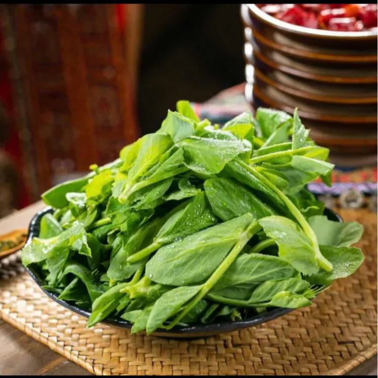 【顺丰生鲜】贵州新鲜豌豆尖现摘蔬菜嫩尖嫩叶自然生态豌豆尖新鲜