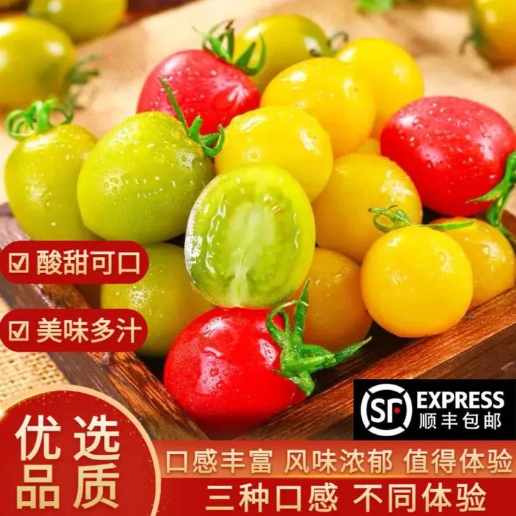 【三色圣女果】寿光彩色小番茄夏日阳光青口蜜贝贝1/2/3/4/5斤顺丰