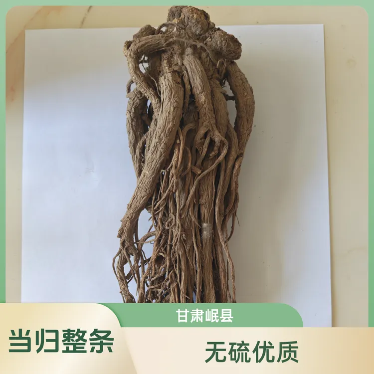 优质甘肃岷县整条无硫全当归产地直销